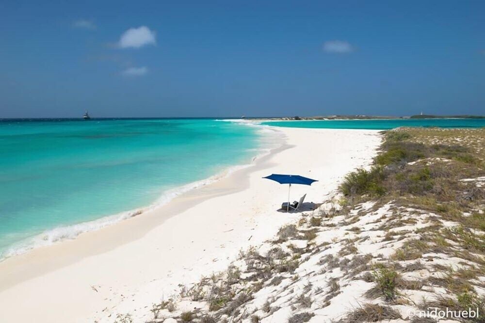Book Los Roques Posada Piano Y Papaya In Hotels Los Roques Posada Piano Y Papaya Beach