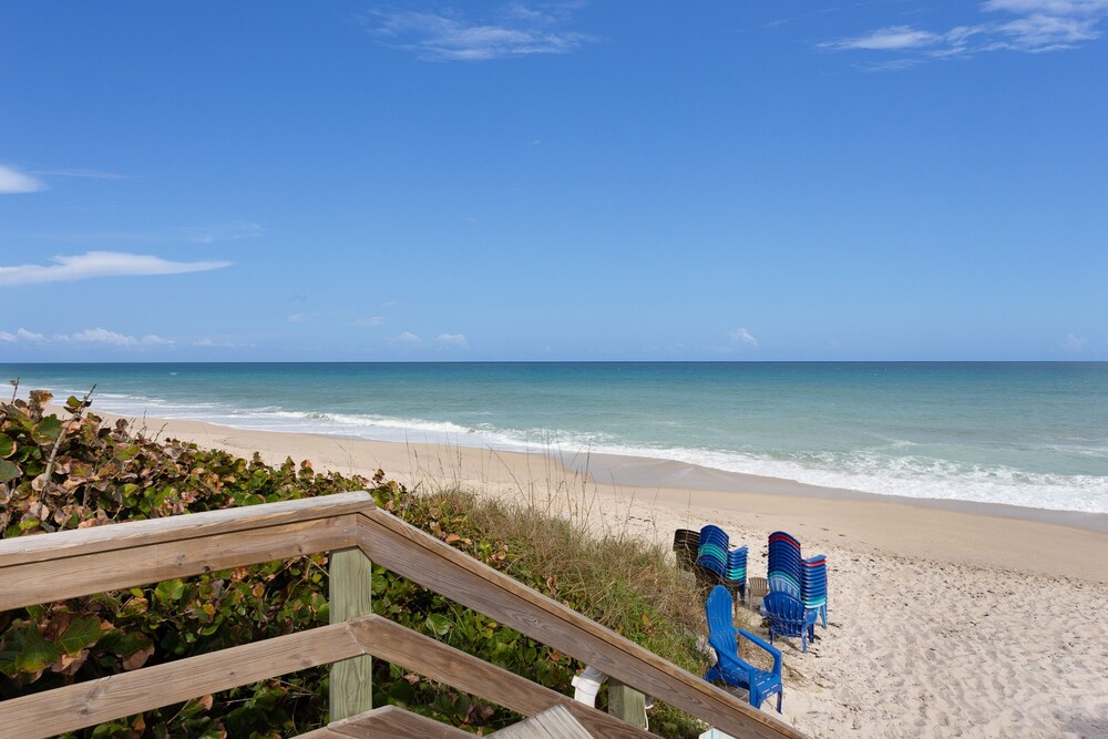 waterfront-dolphins-manatees-pool-dock-beach-beagle point!