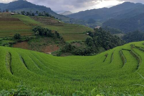 Indigenous Homestay In Mu Cang Chải Hotels Com