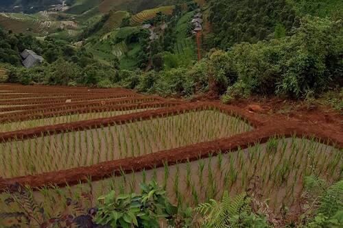 Indigenous Homestay In Mu Cang Chải Hotels Com