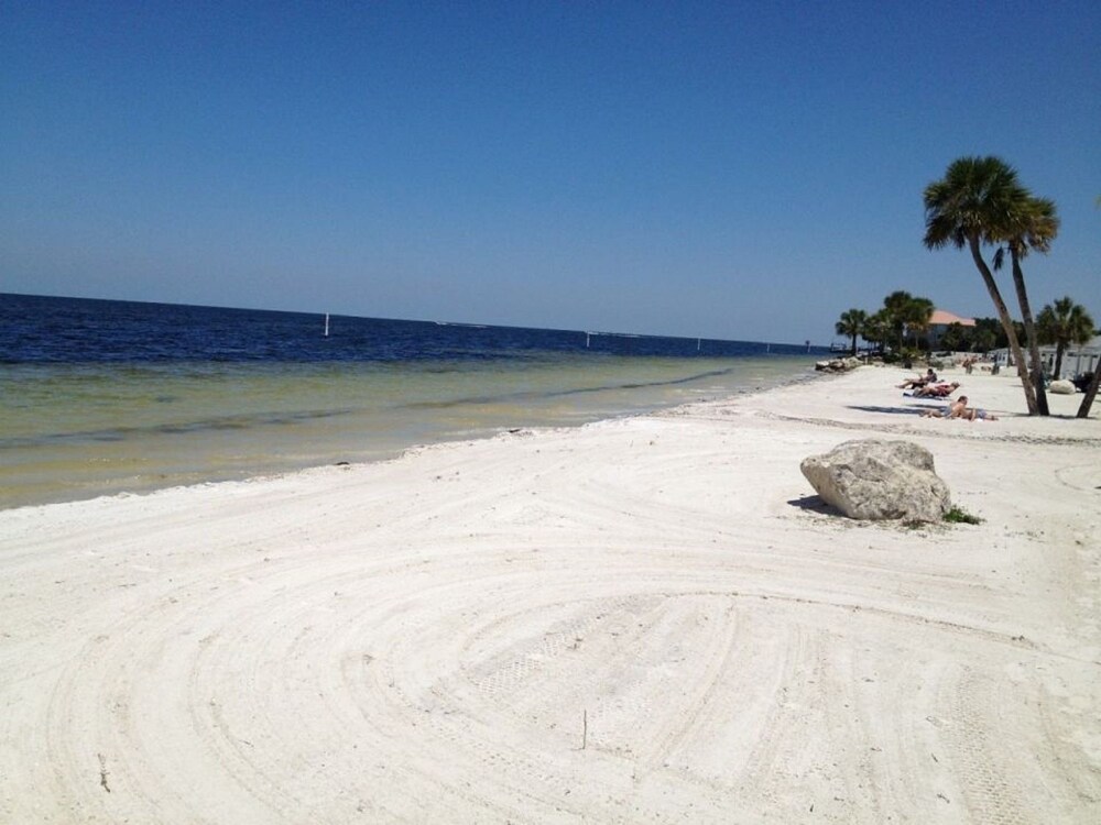 Book The Sunset House - Three Bedroom Home In New Port Richey Hotelscom