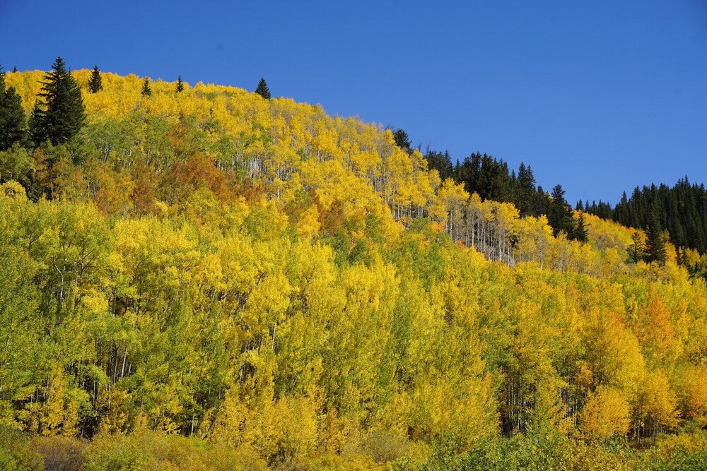 quandary condo - an adventurous mountain getaway!