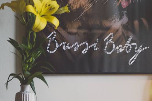 Hotel Bussi Baby Bad Wiessee Alemania Hoteles En Bad Wiessee Hoteles Com Hotel Bussi Baby Bad Wiessee Alemania Hoteles En Bad Wiessee Hoteles Com