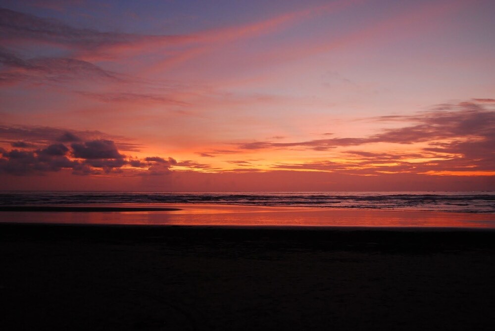 Oalsahiapm3m Guaranteed satisfaction for ratnagiri hotels accommodation, search. https www hotels com ho827073600 kohinoor samudra beach resort ratnagiri india