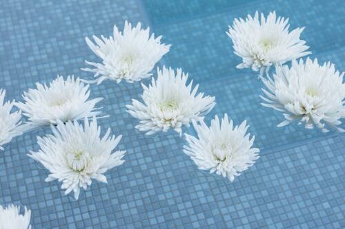 ホテルズドットコム