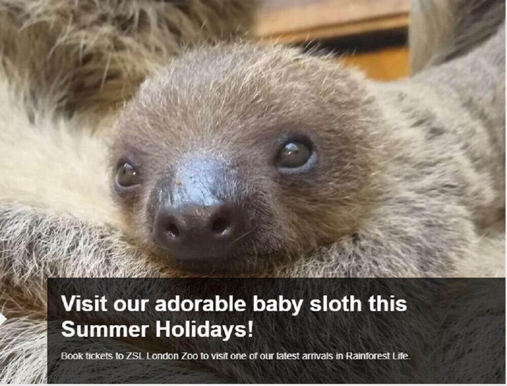 The Nine Elms Residence Londres Hotels Com