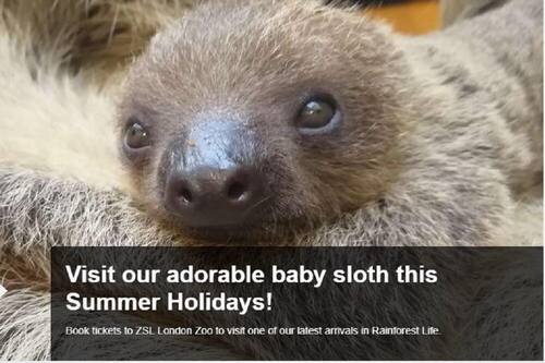 The Nine Elms Residence Londres Hotels Com The Nine Elms Residence Londres Hotels Com