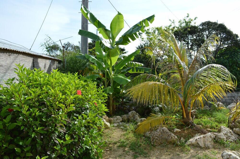 よんなよんな 宮古島 の宿泊予約 ホテルズドットコム