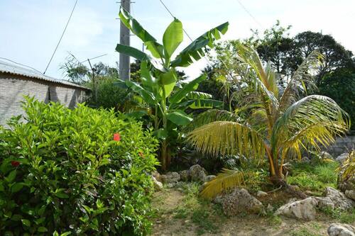 よんなよんな 宮古島 の宿泊予約 ホテルズドットコム