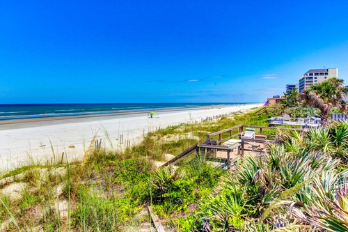 Top Pet Friendly Hotels In New Smyrna Beach Florida Hotels Com Top Pet Friendly Hotels In New Smyrna Beach Florida Hotels Com