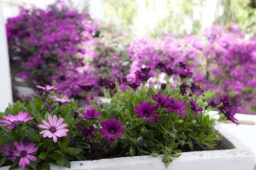 Book The Poyz Hotel Bodrum In Bodrum Hotels Com