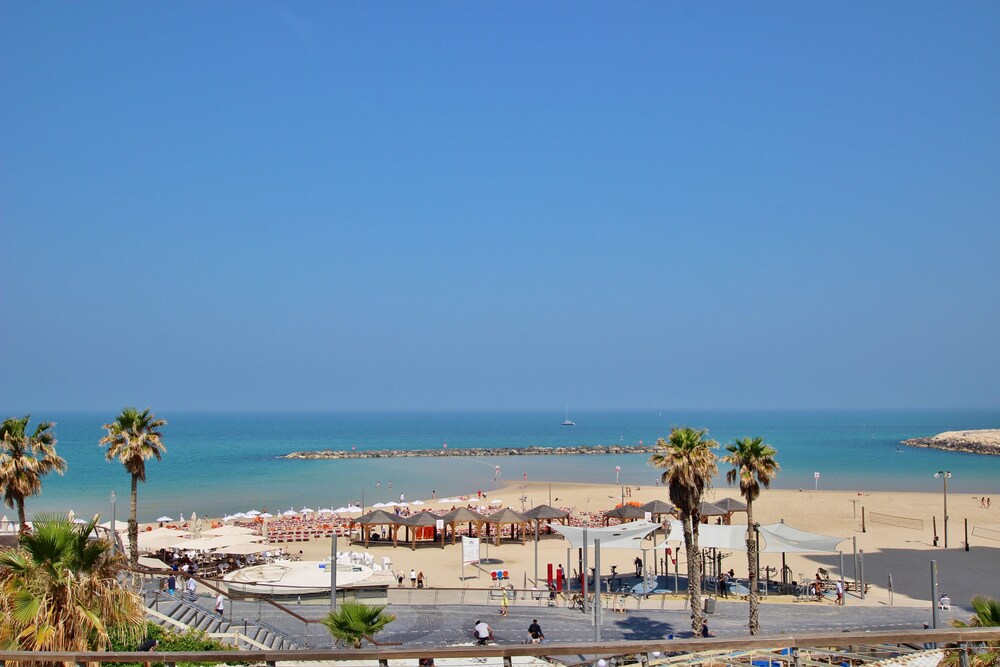 希尔顿海滩惊人新 2 居公寓酒店