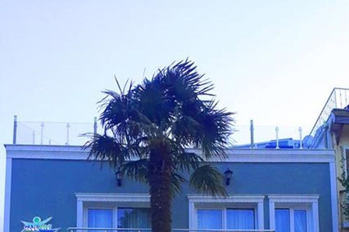 Ada Sahil Otel Adalar Hotels Com