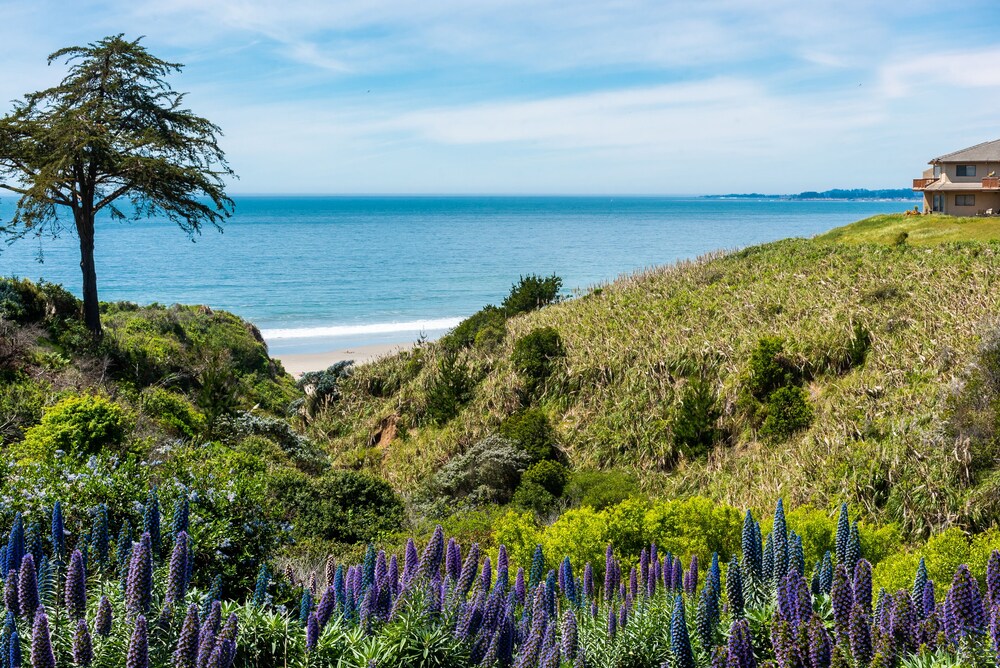 Book Seascape Beach Resort Monterey In Aptos Hotelscom