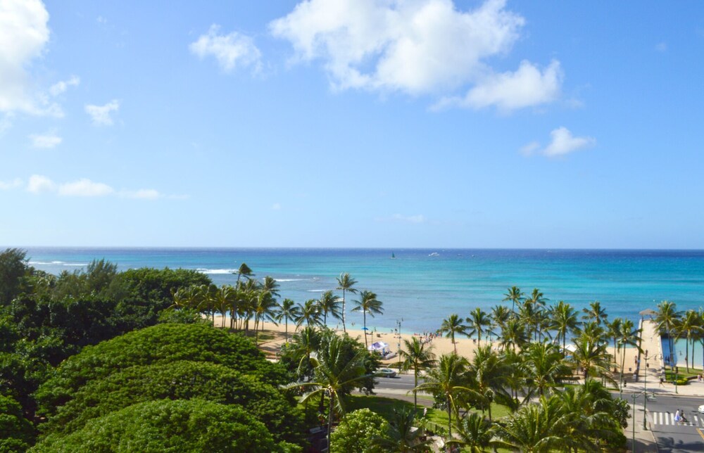 grand opening discount - renovated studio - awesome unobstructed