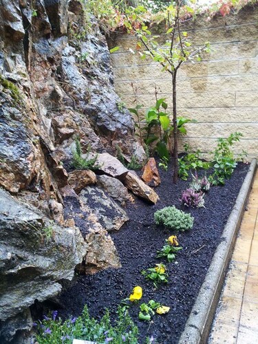 3 Hotels Miraflores De La Sierra Gratis Storno Fur Viele Hotels Preisgarantie Bei Hotels Com