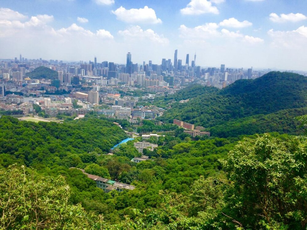 Book Lifu Hotel Zhong Da North Branch In Guangzhou Hotels Lifu Hotel Zhong Da North Branch Guangzhou