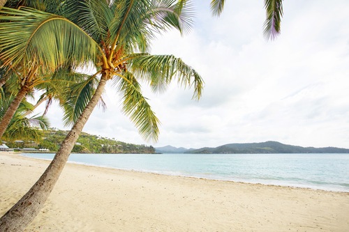 リーフ ビュー ホテル ハミルトン島 の宿泊予約 ホテルズドットコム