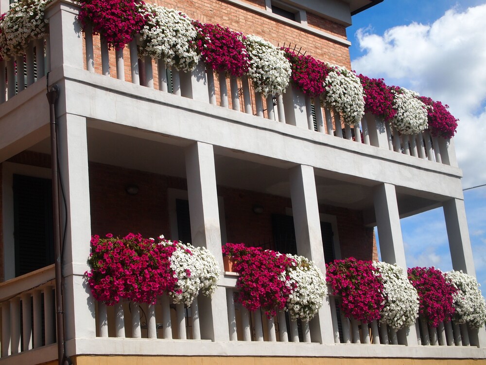 Prenota Soggiorno Lo Stellino a Siena - Hotels.com Prenota Soggiorno Lo Stellino a Siena - Hotels.com