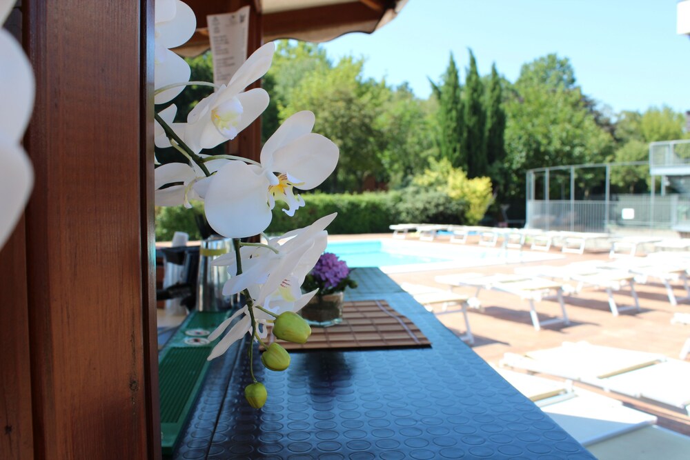 Book Piccolo Hotel Nogara in Nogara