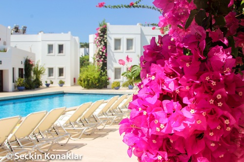 Seckin Konaklar Bodrum Hotels Com