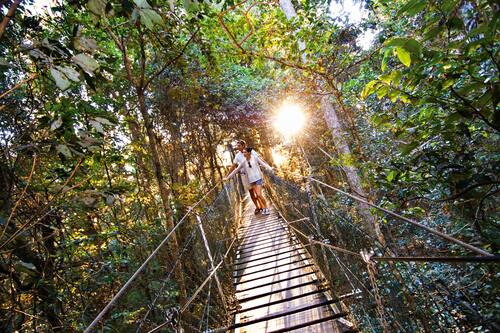 O Reilly S Rainforest Retreat In O Reilly Hotels Com O Reilly S Rainforest Retreat In O Reilly Hotels Com