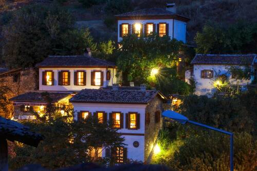 terrace houses sirince fig olive