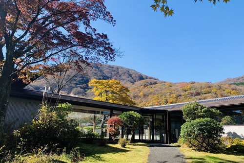 箱根 箱根神社 周辺のホテル 宿泊予約 格安ホテル予約 最安値検索 ホテルズドットコム 箱根 箱根神社 周辺のホテル 宿泊予約 格安ホテル予約 最安値検索 ホテルズドットコム