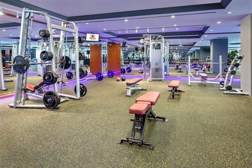 Orchid Country Club Singapore Updated Price Reviews Hd Photos Hotels Com Orchid Country Club Singapore Updated Price Reviews Hd Photos Hotels Com