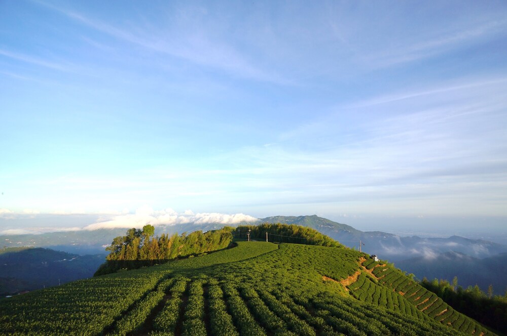 瑞里孟宗築民宿 住宿預訂優惠及飯店資訊 Hotels Com