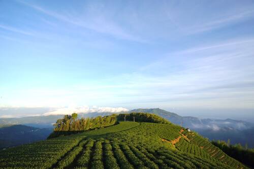 瑞里孟宗築民宿 住宿預訂優惠及飯店資訊 Hotels Com