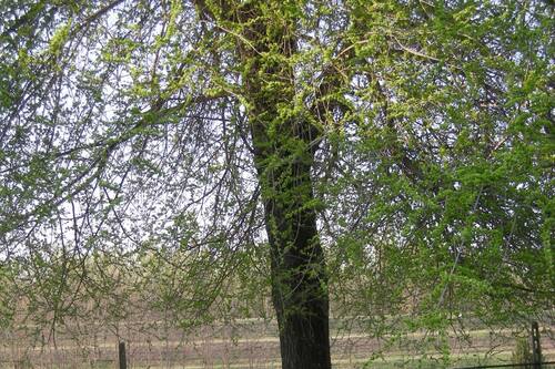 アグリツーリズモ レ クレメンティーネ バディーア ポレージネ の宿泊予約 ホテルズドットコム アグリツーリズモ レ クレメンティーネ バディーア ポレージネ の宿泊予約 ホテルズドットコム