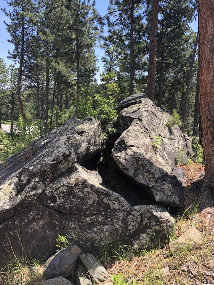 big mountain cabins - a modern rustic experience - new in 2018