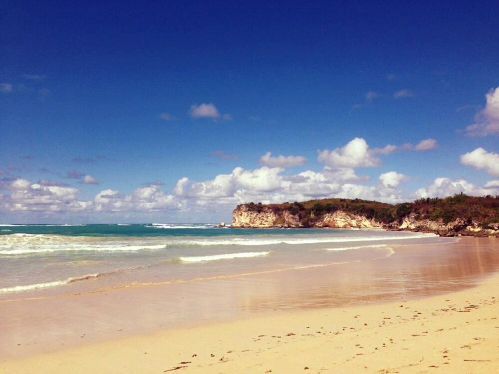 プンタ カナ マカオ ゲスト ハウス プンタ カナ および周辺地域 の宿泊予約 ホテルズドットコム