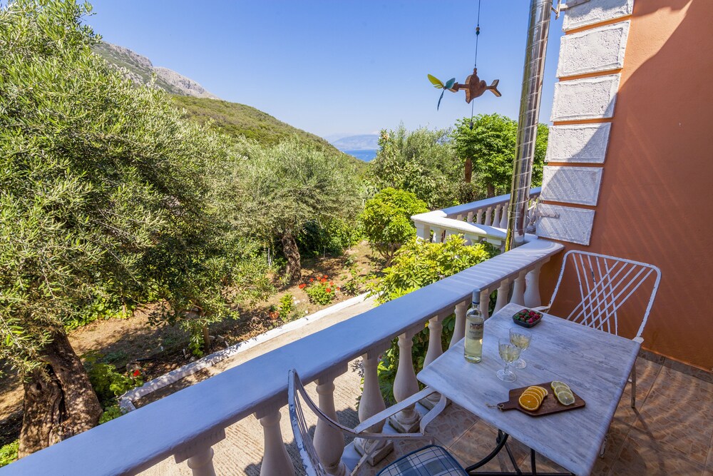 康奈克巴尔巴第全景酒店