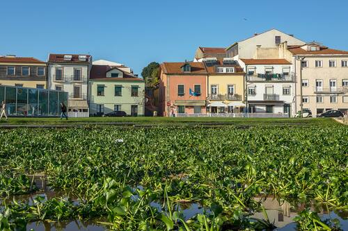 Erva Doce Vila Do Conde Hotels Com Erva Doce Vila Do Conde Hotels Com