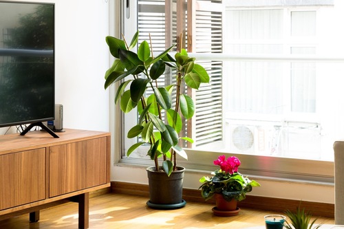 Book Noa Sungu Apartments In Istanbul Hotels Com