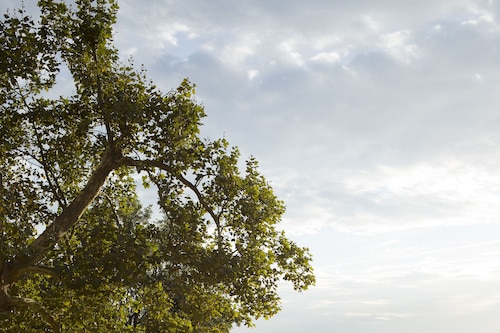 ラ クラリエール ドゥ ラ ライン オルテンス サンプリ の宿泊予約 ホテルズドットコム