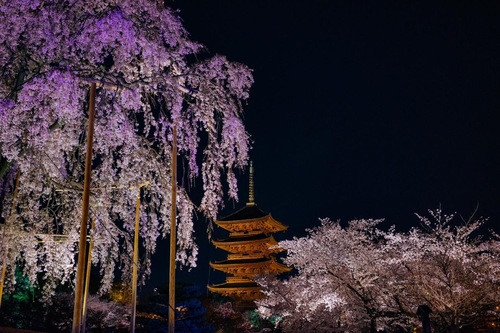 京都市 北野天満宮 周辺のホテル 宿泊予約 格安ホテル予約 最安値検索 ホテルズドットコム 京都市 北野天満宮 周辺のホテル 宿泊予約 格安ホテル予約 最安値検索 ホテルズドットコム