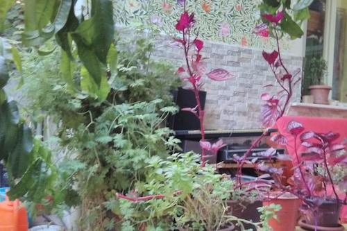 lotus garden hostel izmir hotels com