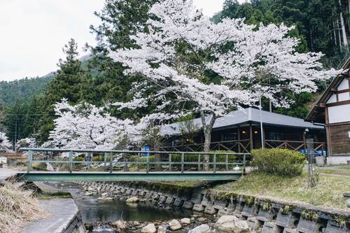 ひよしフォレストリゾート山の家 南丹 の宿泊予約 ホテルズドットコム ひよしフォレストリゾート山の家 南丹 の宿泊予約 ホテルズドットコム