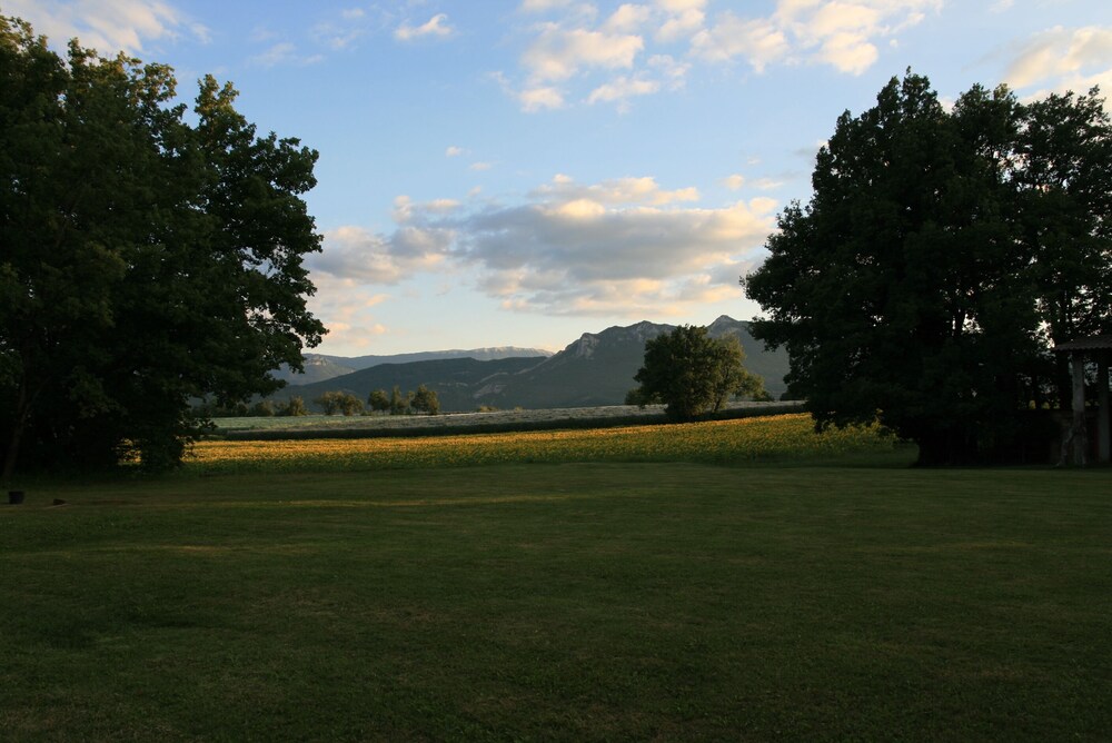 in all seasons, house in lush greenery   private pool and forest
