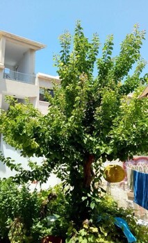 Φωτογραφία του Paphos Inn Hostel, Πάφος
