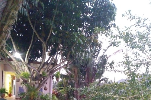 Book Casa Dunia Aleman Y Luis In Vinales Hotels Com