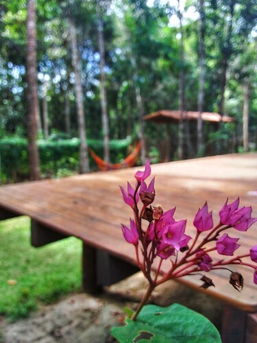 セーハ グランデ パチゼイロ ビーチ 周辺の中級クラスホテル 宿泊予約 最安値検索 格安予約 ホテルズドットコム