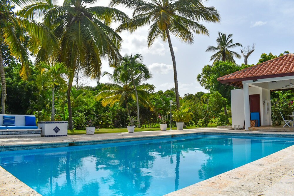 92 Colección palabra clave  Gratis