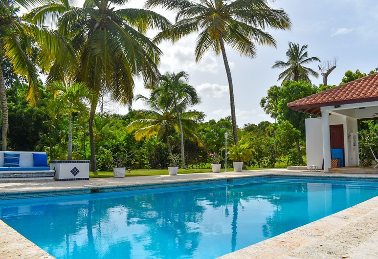 92 Colección palabra clave  Gratis 92 Colección palabra clave  Gratis