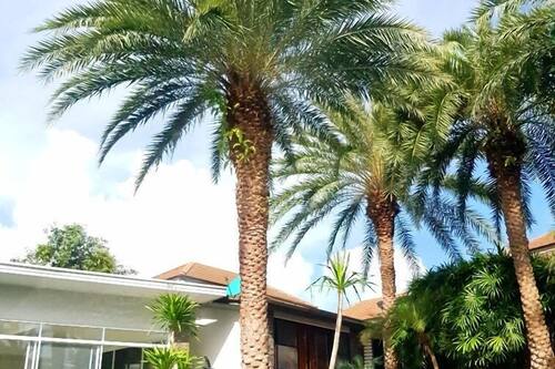 احجز بليس يوجا ريزورت آت كو ساموي في كوه ساموي قارن أسعار الفنادق في كوه ساموي