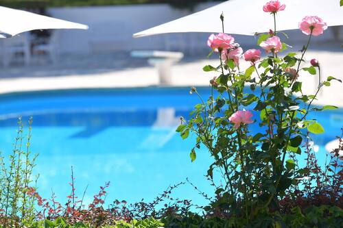 Prenota Villa Del Sole A Martina Franca Hotels Com Prenota Villa Del Sole A Martina Franca Hotels Com