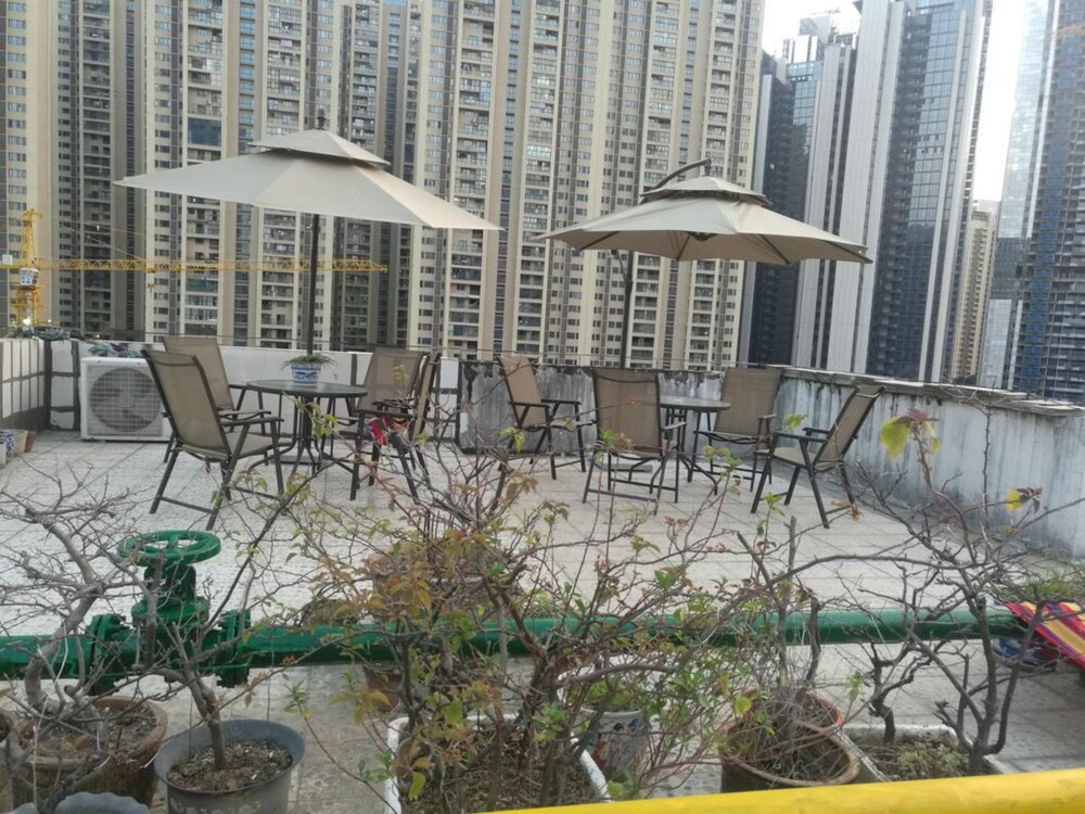 深圳莱茵花园城市青年旅舍